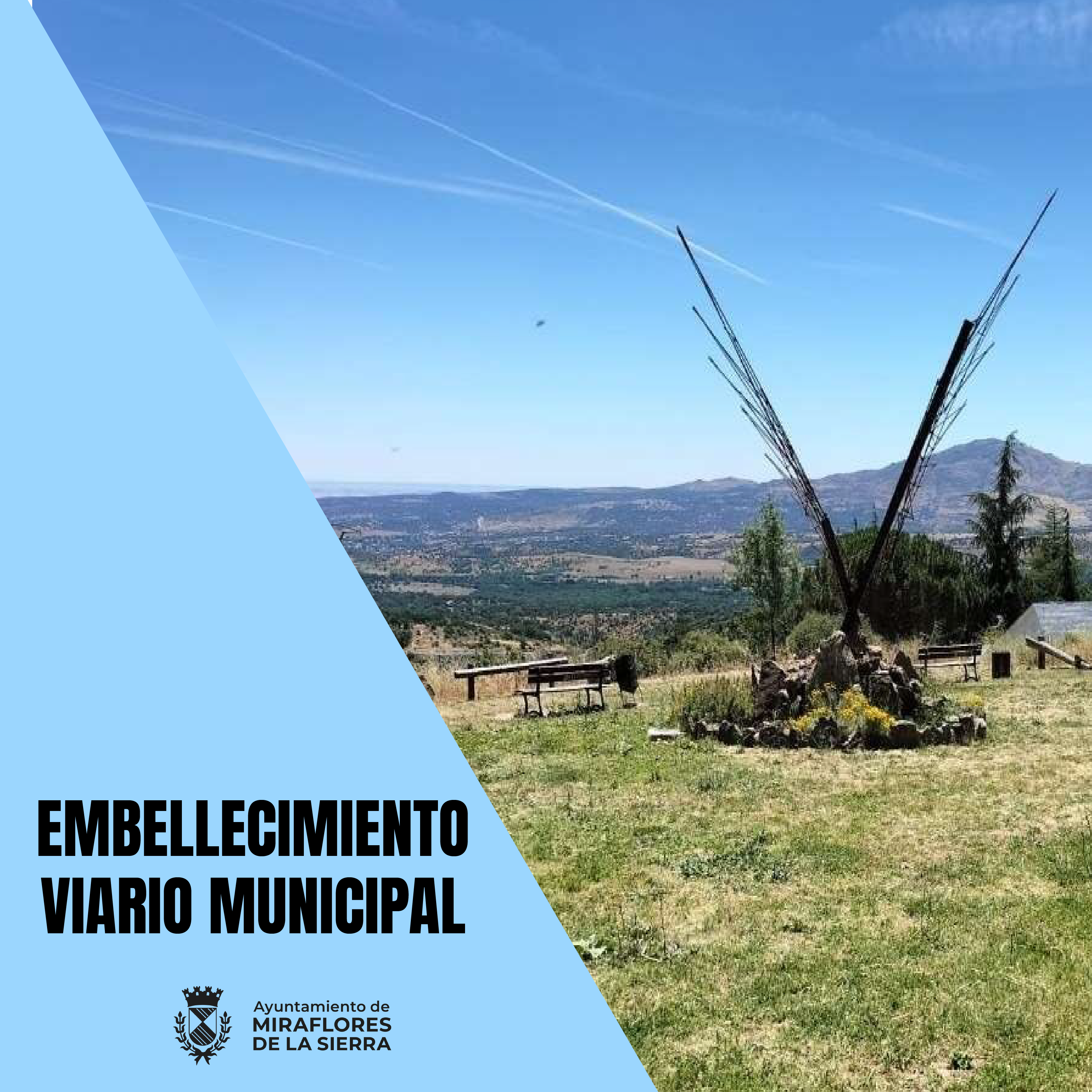 ACTUACIONES DE EMBELLECIMIENTO VIARIO MUNICIPAL