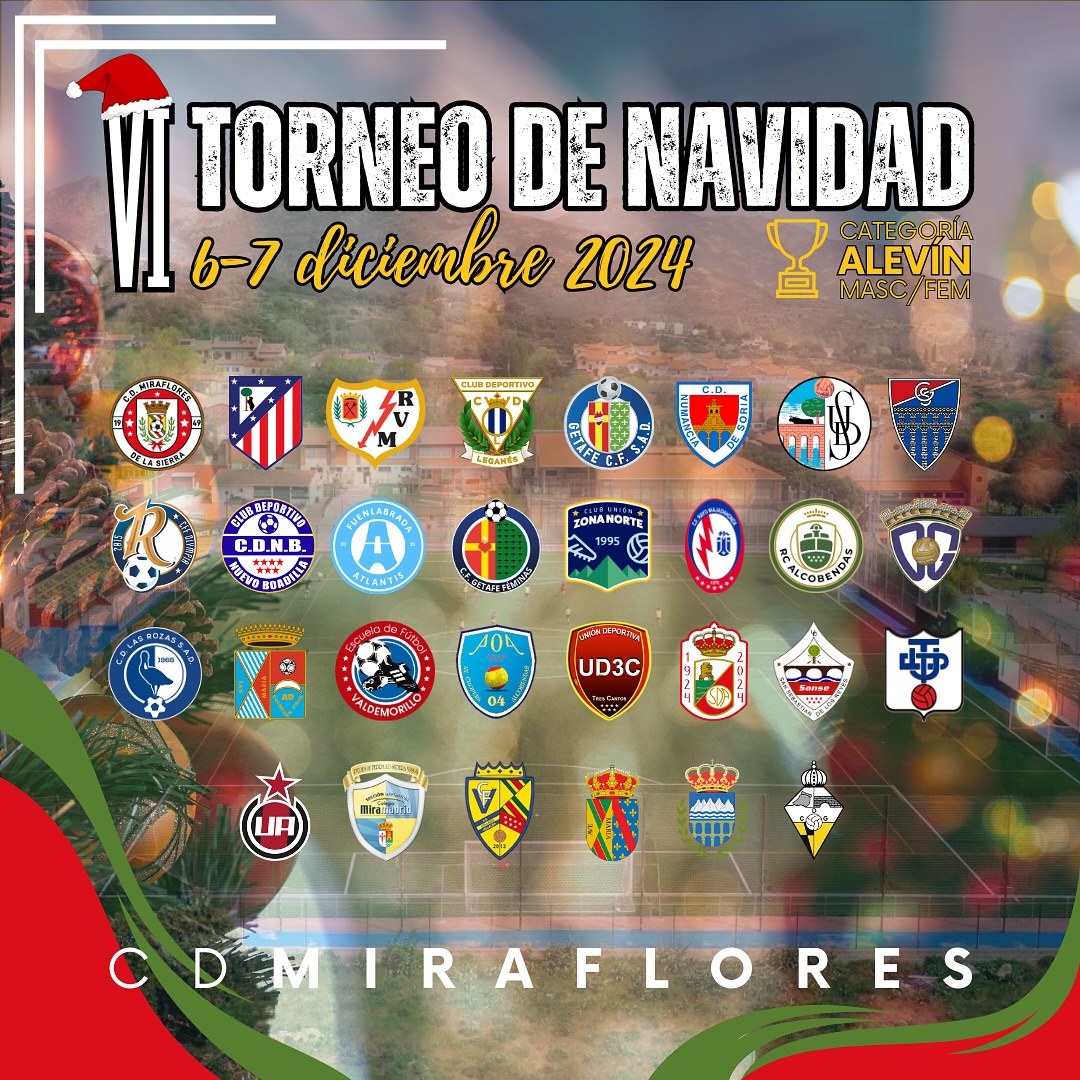 VI TORNEO DE NAVIDAD