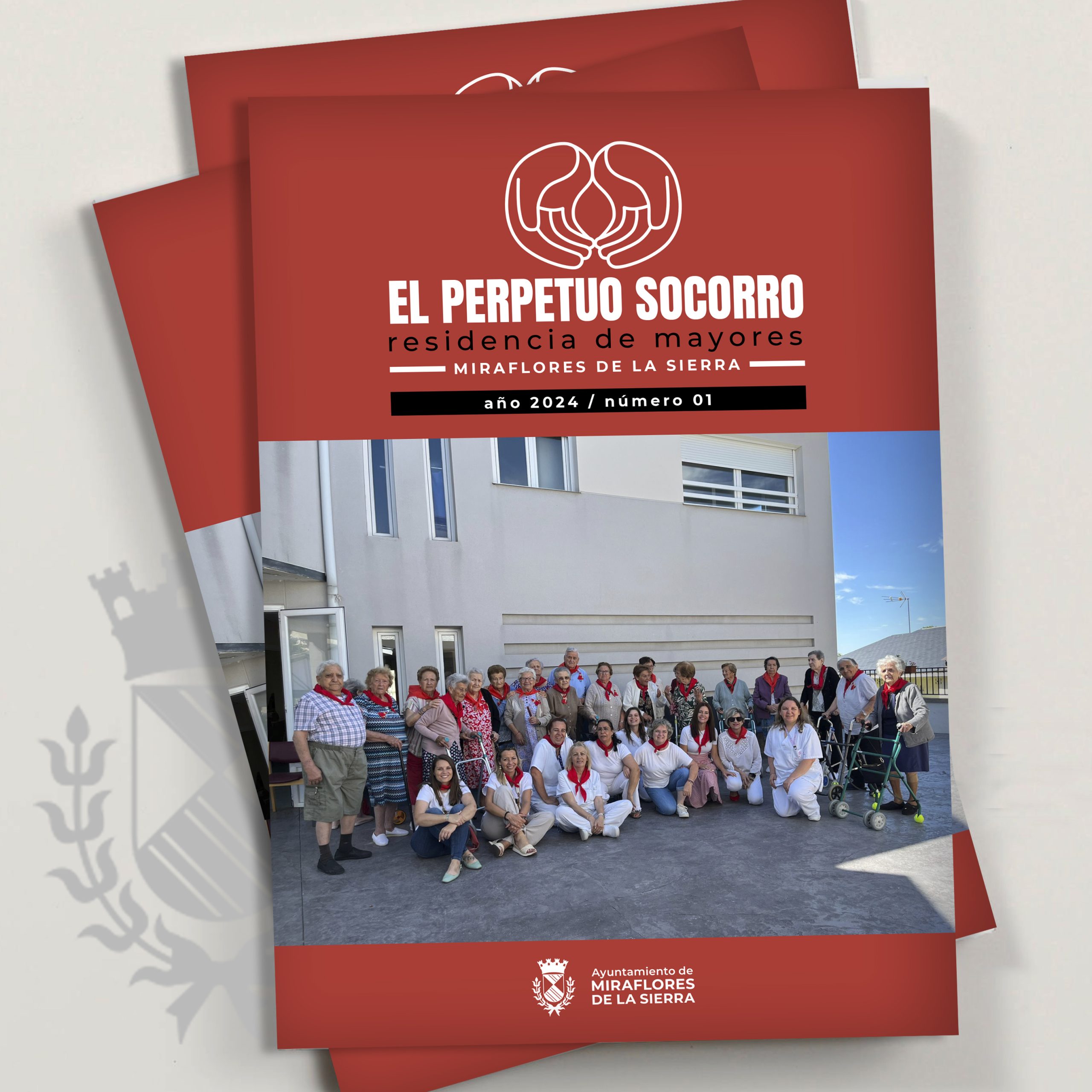 REVISTA RESIDENCIA PERPETUO SOCORRO